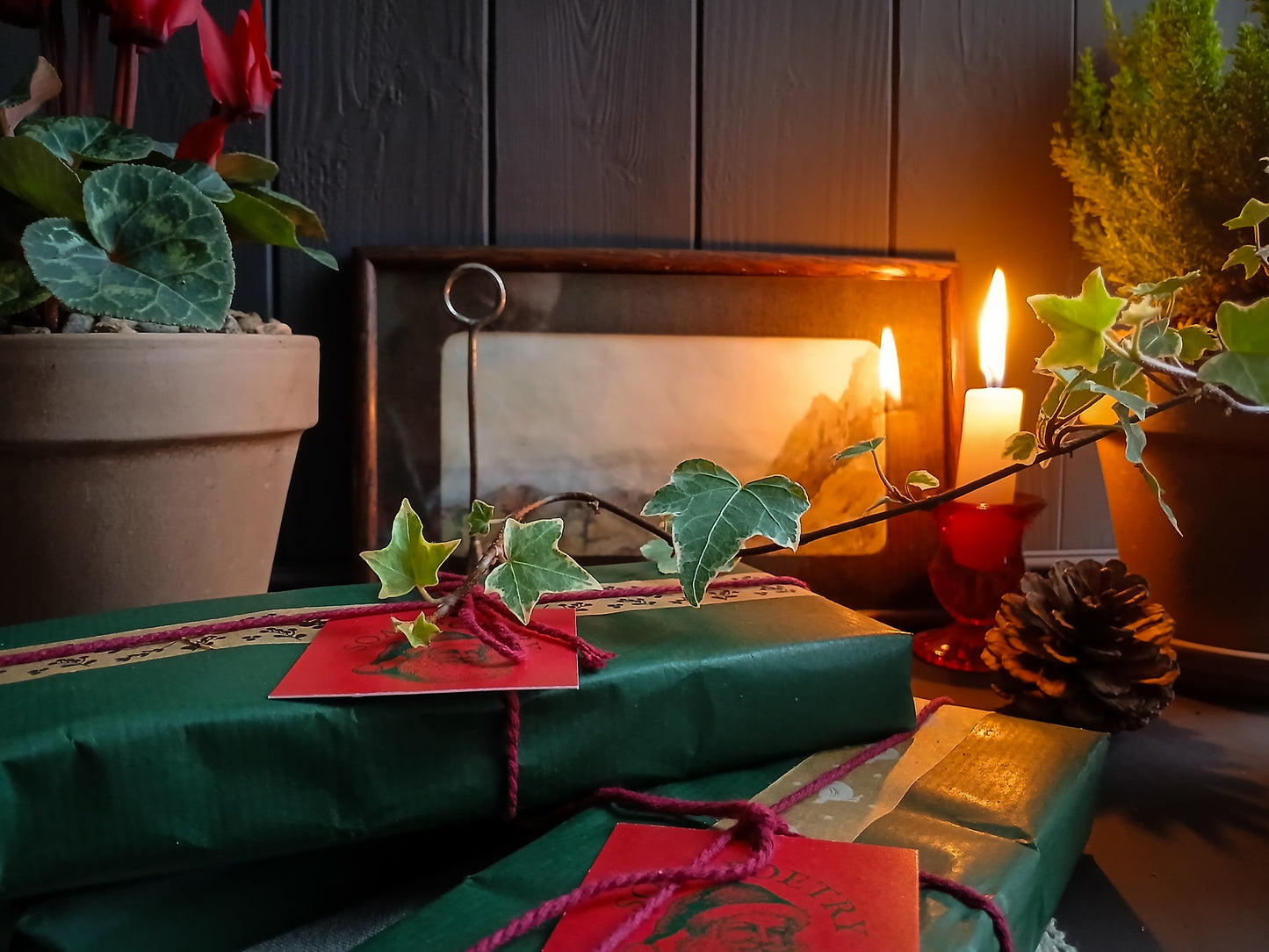 The Kindred Collection