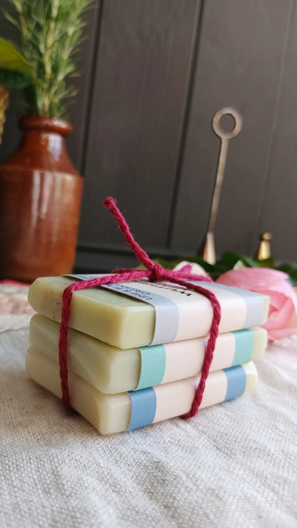 Mini Organic Soap Trio | A Travel Trio