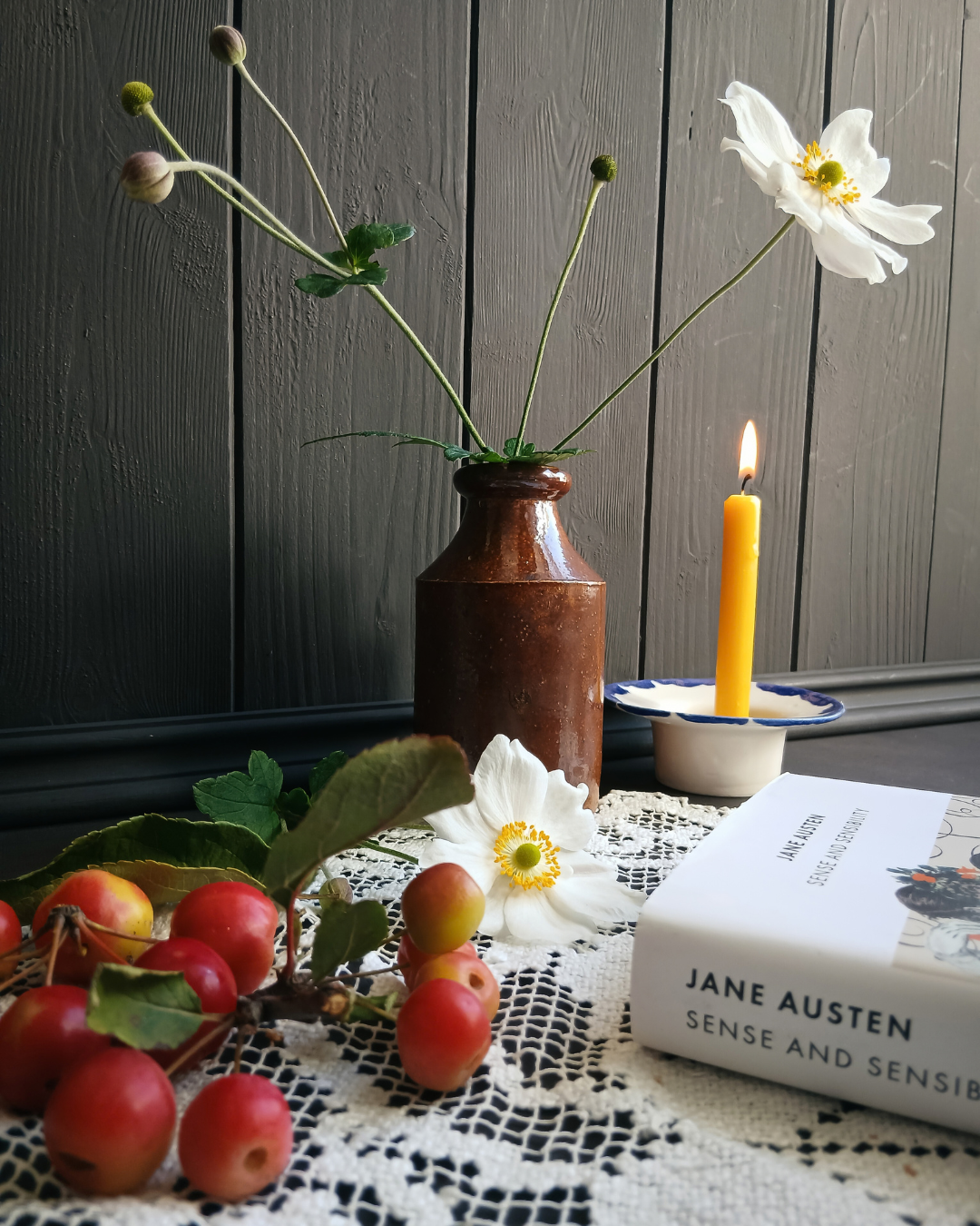 Jane Austen Special Edition Duo